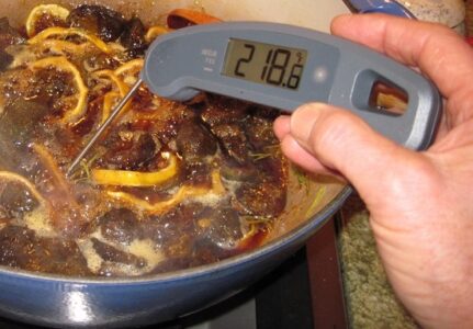 Finally, a Good Thermometer for Home Preserving Image
